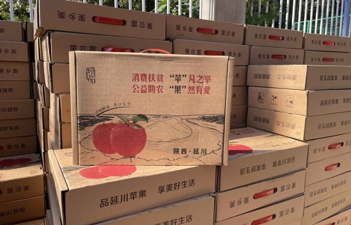天天盈球“扶贫助农，振兴乡村”活动
